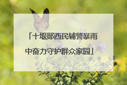 十堰郧西民辅警暴雨中奋力守护群众家园