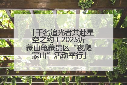 千名追光者共赴星空之约！2025沂蒙山龟蒙景区“夜爬蒙山”活动举行