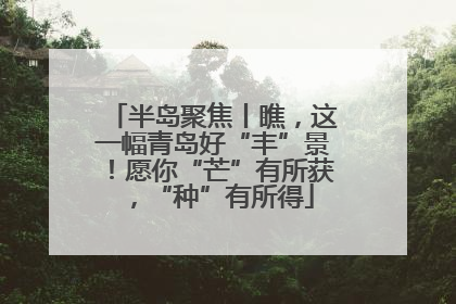 半岛聚焦丨瞧，这一幅青岛好“丰”景！愿你“芒”有所获，“种”有所得