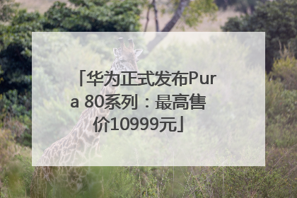 华为正式发布Pura 80系列：最高售价10999元