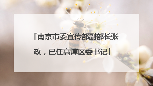 南京市委宣传部副部长张政，已任高淳区委书记