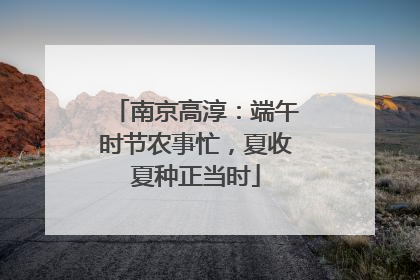 南京高淳：端午时节农事忙，夏收夏种正当时