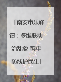 南安市乐峰镇：多维联动治乱象 筑牢防线护民生