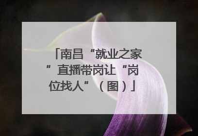 南昌“就业之家”直播带岗让“岗位找人”（图）