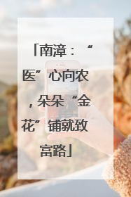南漳：“医”心向农，朵朵“金花”铺就致富路