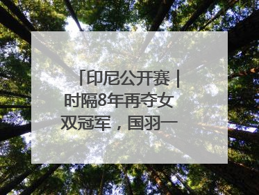 印尼公开赛｜时隔8年再夺女双冠军，国羽一金一银收官