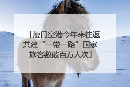 厦门空港今年来往返共建“一带一路”国家旅客数破百万人次