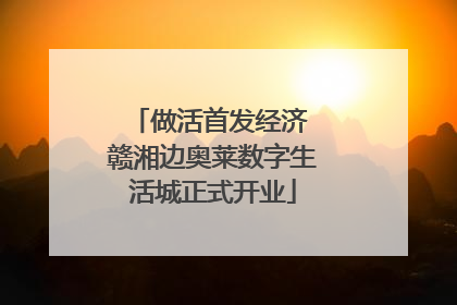 做活首发经济 赣湘边奥莱数字生活城正式开业