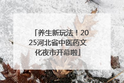 养生新玩法！2025河北省中医药文化夜市开幕啦