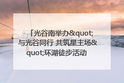 光谷南举办"与光谷同行 共筑星主场"环湖徒步活动 吸引500余名市民参与