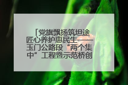党旗飘扬筑坦途 匠心养护惠民生——玉门公路段“两个集中”工程暨示范桥创建项目圆满收官