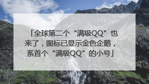 全球第二个“满级QQ”也来了，图标已显示金色企鹅，系首个“满级QQ”的小号