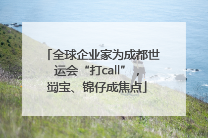 全球企业家为成都世运会“打call”，蜀宝、锦仔成焦点