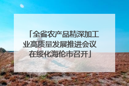 全省农产品精深加工业高质量发展推进会议在绥化海伦市召开