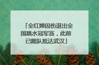 全红婵因伤退出全国跳水冠军赛，此前已随队抵达武汉