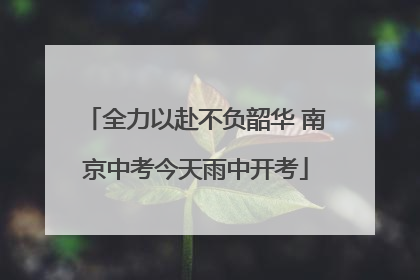 全力以赴不负韶华 南京中考今天雨中开考