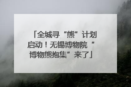 全城寻“熊”计划启动！无锡博物院“博物熊抱集”来了