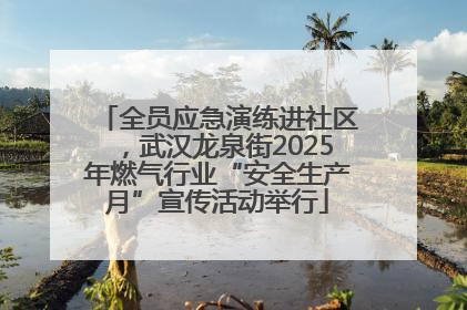 全员应急演练进社区，武汉龙泉街2025年燃气行业“安全生产月”宣传活动举行
