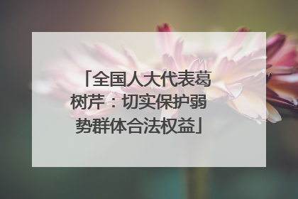 全国人大代表葛树芹：切实保护弱势群体合法权益