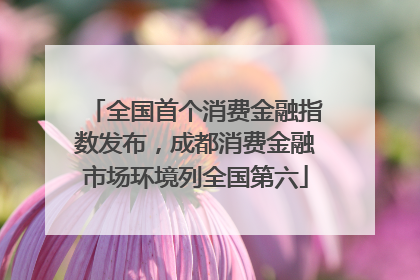 全国首个消费金融指数发布，成都消费金融市场环境列全国第六
