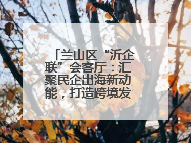 兰山区“沂企联”会客厅：汇聚民企出海新动能，打造跨境发展“强磁场”