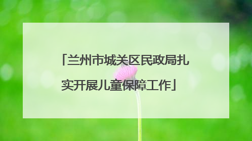 兰州市城关区民政局扎实开展儿童保障工作