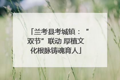 兰考县考城镇：“双节”联动 厚植文化根脉铸魂育人