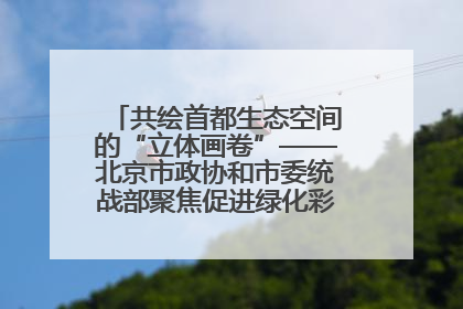 共绘首都生态空间的“立体画卷”——北京市政协和市委统战部聚焦促进绿化彩化美化生态空间建设联合协商议政
