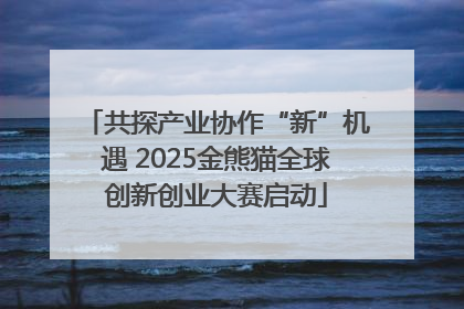 共探产业协作“新”机遇 2025金熊猫全球创新创业大赛启动