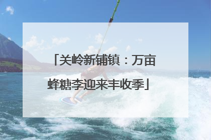 关岭新铺镇：万亩蜂糖李迎来丰收季