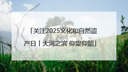 关注2025文化和自然遗产日丨大河之滨 仰望仰韶