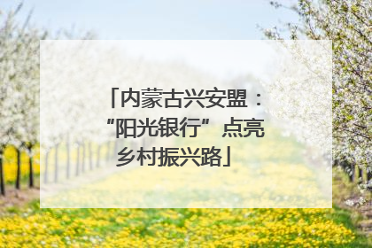 内蒙古兴安盟：“阳光银行”点亮乡村振兴路