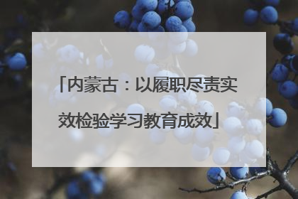 内蒙古：以履职尽责实效检验学习教育成效