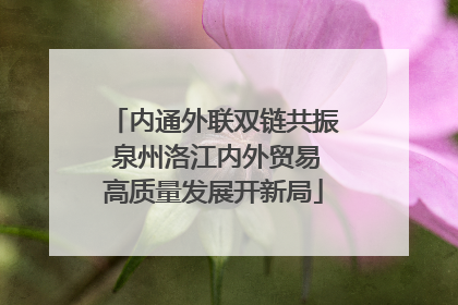 内通外联双链共振 泉州洛江内外贸易高质量发展开新局