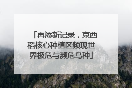 再添新记录，京西稻核心种植区频现世界极危与濒危鸟种