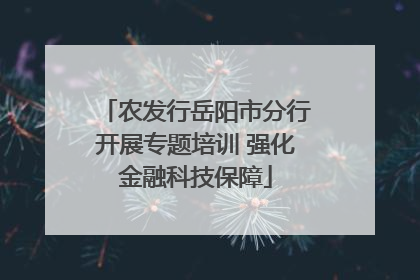 农发行岳阳市分行开展专题培训 强化金融科技保障