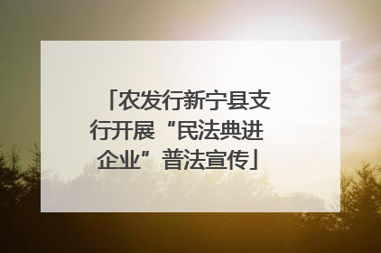 农发行新宁县支行开展“民法典进企业”普法宣传