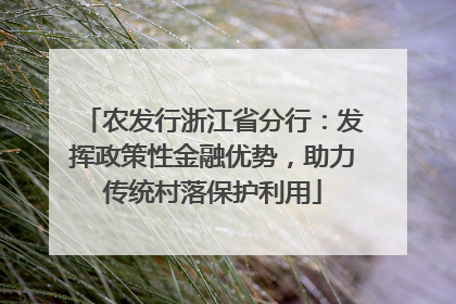 农发行浙江省分行：发挥政策性金融优势，助力传统村落保护利用