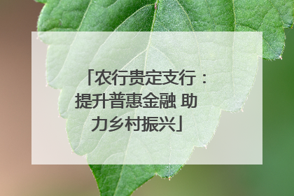 农行贵定支行：提升普惠金融 助力乡村振兴