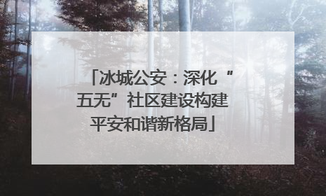 冰城公安：深化“五无”社区建设构建平安和谐新格局