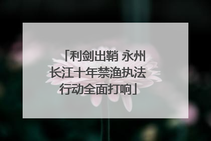 利剑出鞘 永州长江十年禁渔执法行动全面打响