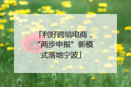 利好跨境电商，“两步申报”新模式落地宁波