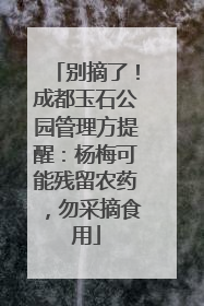 别摘了！成都玉石公园管理方提醒：杨梅可能残留农药，勿采摘食用