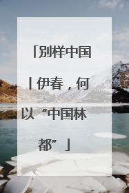 别样中国丨伊春，何以“中国林都”