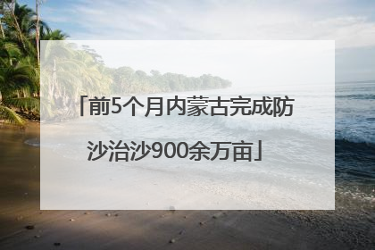 前5个月内蒙古完成防沙治沙900余万亩