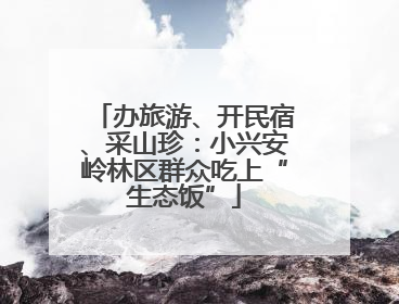 办旅游、开民宿、采山珍：小兴安岭林区群众吃上“生态饭”