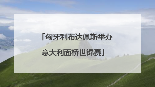 匈牙利布达佩斯举办意大利面桥世锦赛