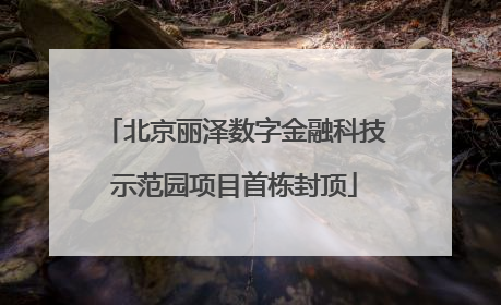 北京丽泽数字金融科技示范园项目首栋封顶