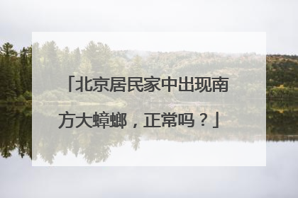 北京居民家中出现南方大蟑螂，正常吗？