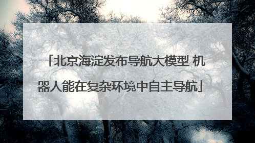 北京海淀发布导航大模型 机器人能在复杂环境中自主导航